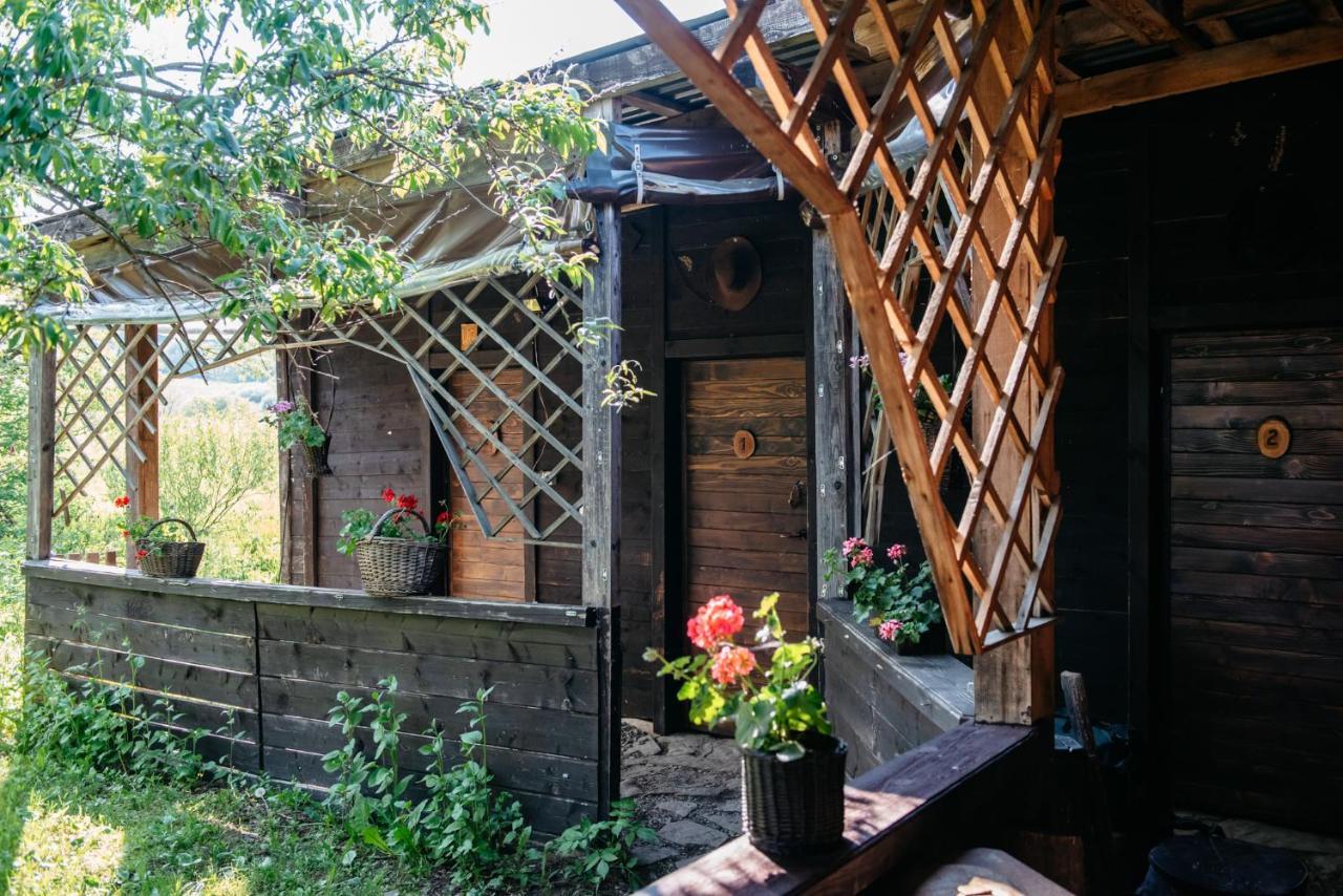 Zagroda Chryszczata Smolnik  Ngoại thất bức ảnh
