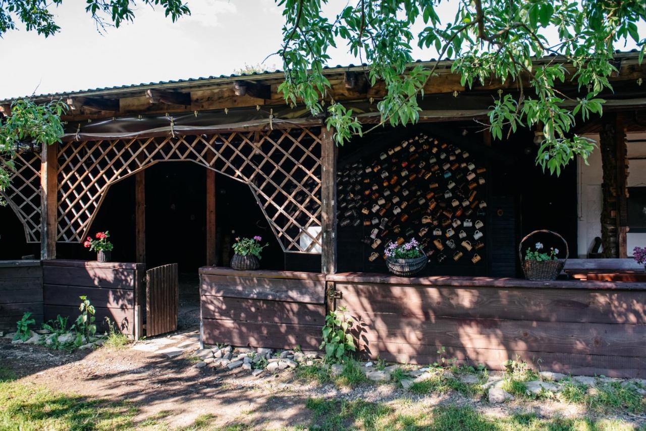Zagroda Chryszczata Smolnik  Ngoại thất bức ảnh